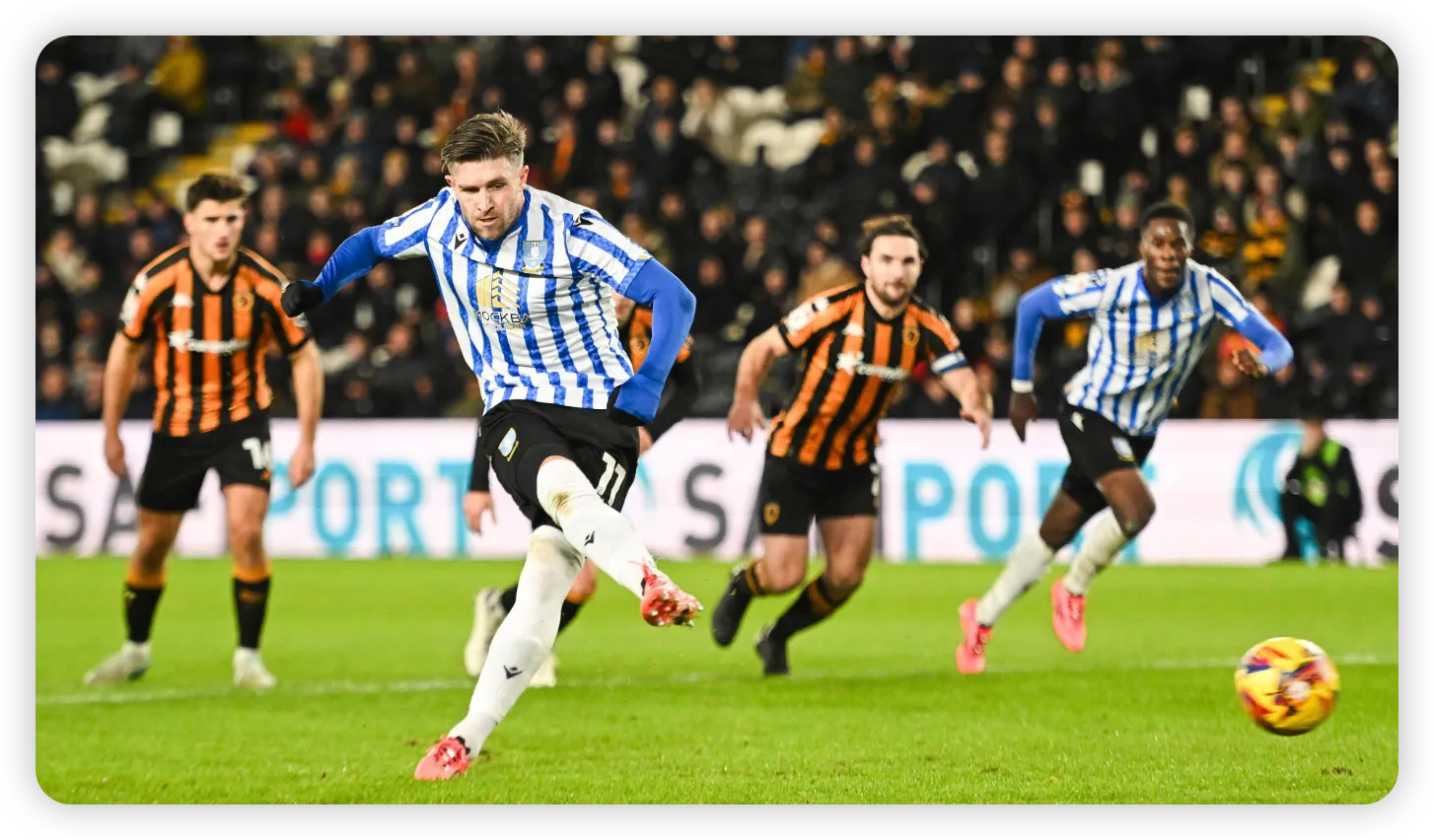 Sheffield Wednesday’s Resurgence