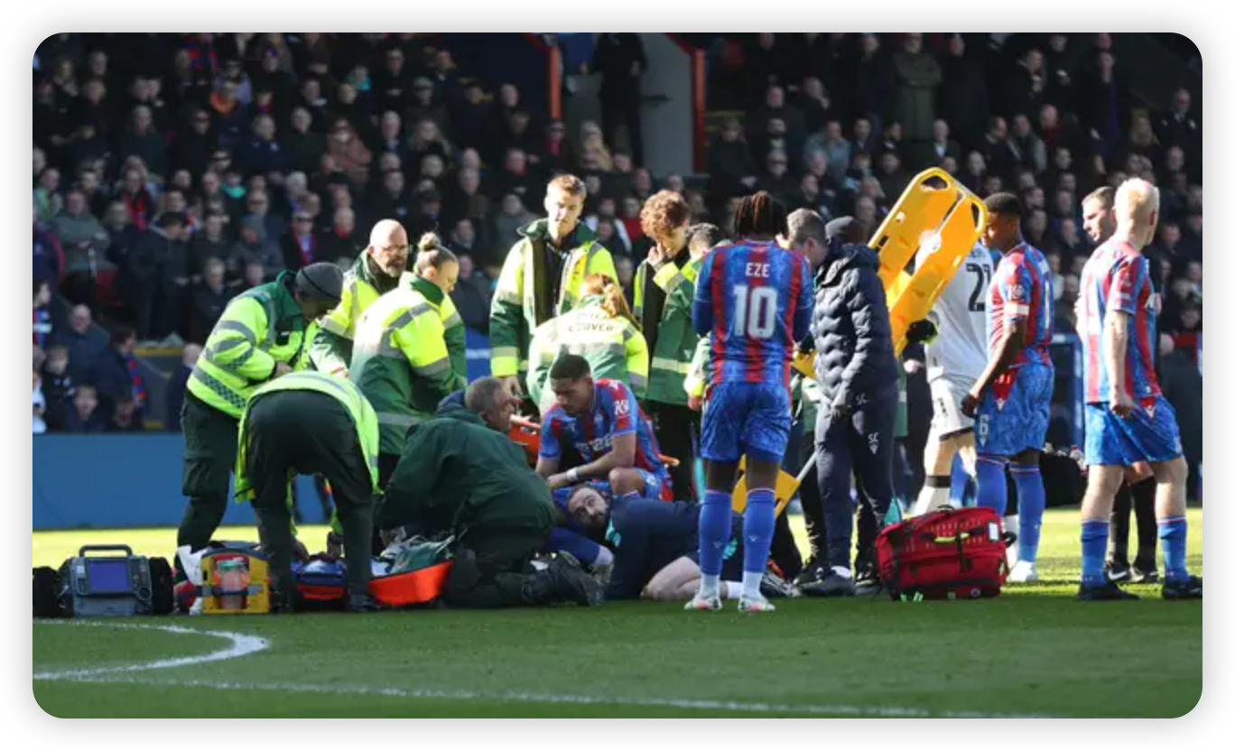 Looking Ahead: Recovery and Implications for Palace